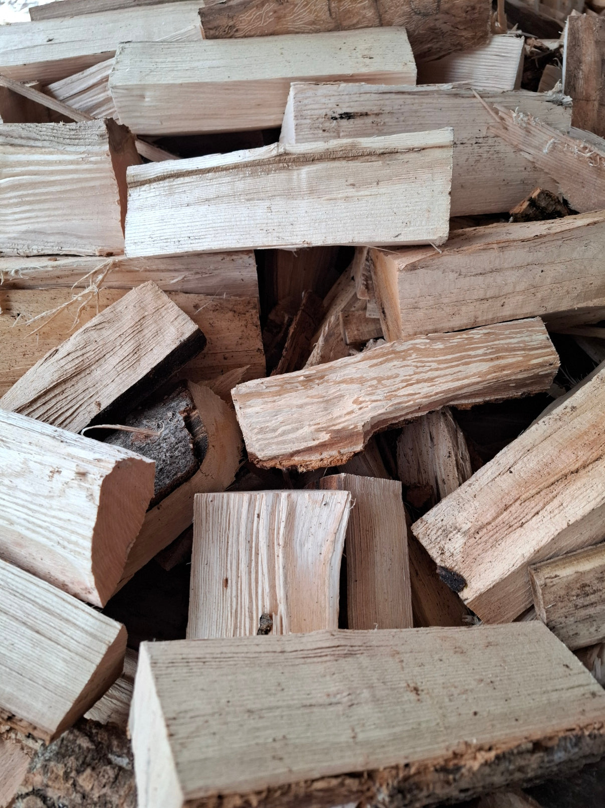 Brennholz, frisch